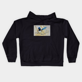 Beautiful Blue Wren - bird art Kids Hoodie